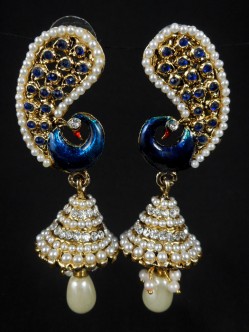 Fashion Earrings